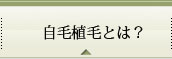 自毛植毛とは？