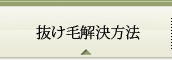 抜け毛解決方法