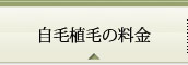 自毛植毛の料金
