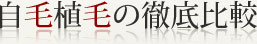 自毛植毛の徹底比較